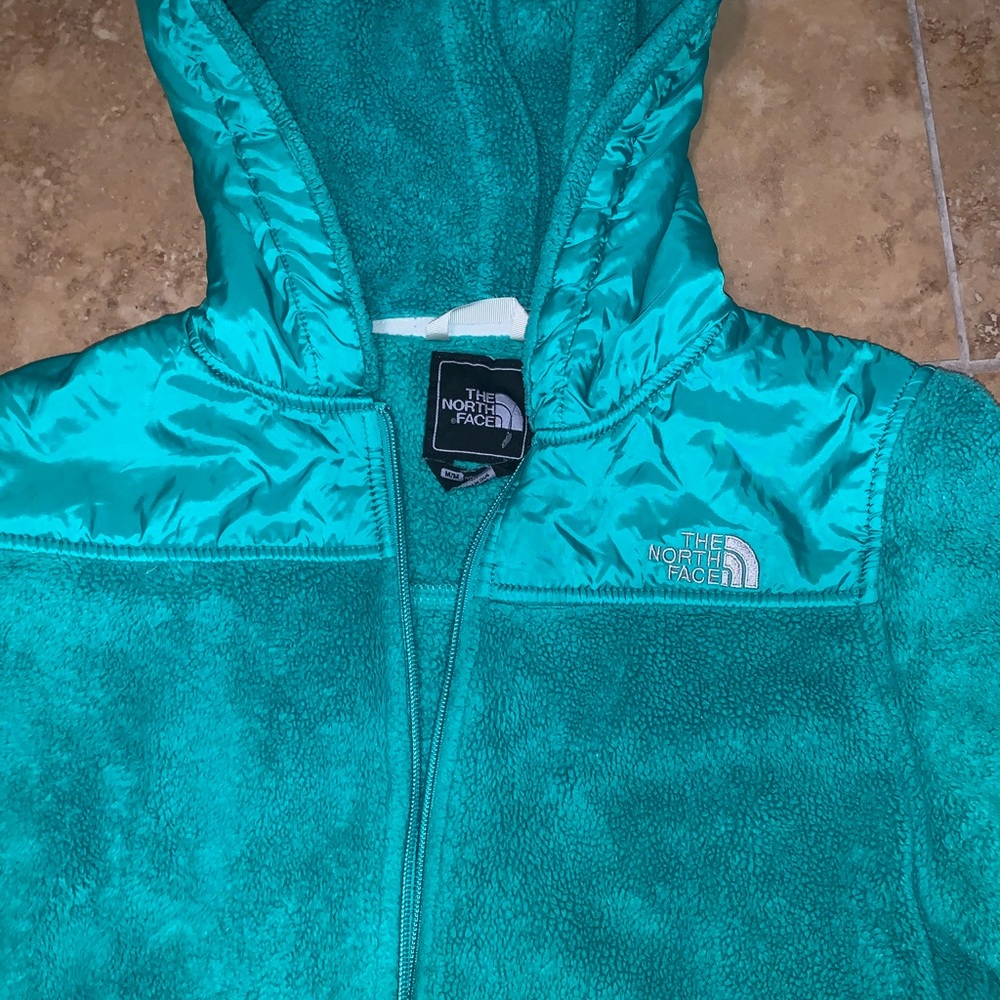 The north face hoodie